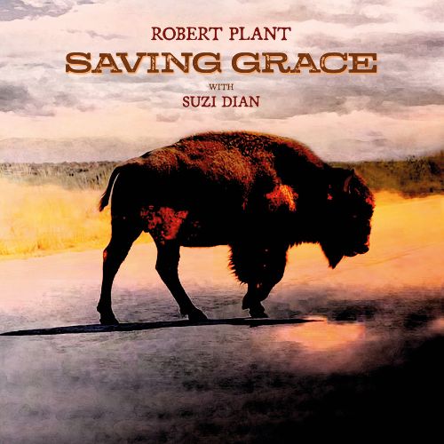 Robert Plant/Suzi Dian - Saving Grace (180gr)
