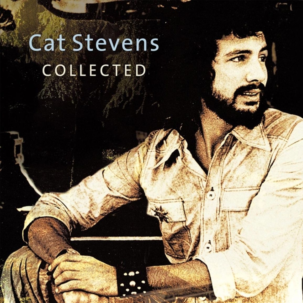 Cat Stevens - Collected (2LP, 180gr)
