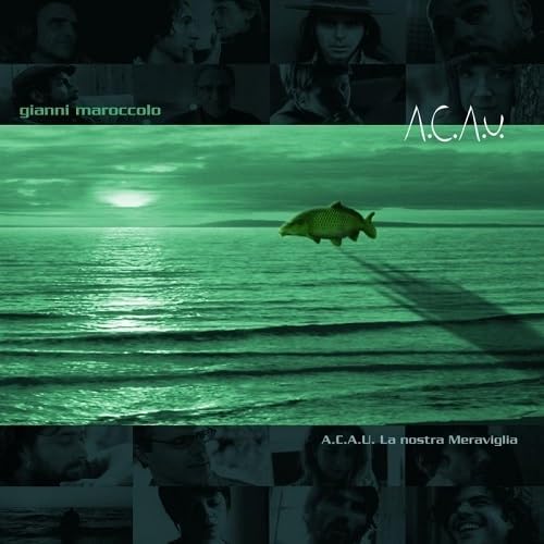 Gianni Maroccolo - A.C.A.U La Nostra Meraviglia (180gr)