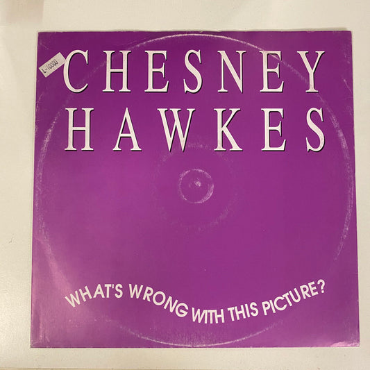 Chesney Hawkes - What's Wrong With This Picture (12")
