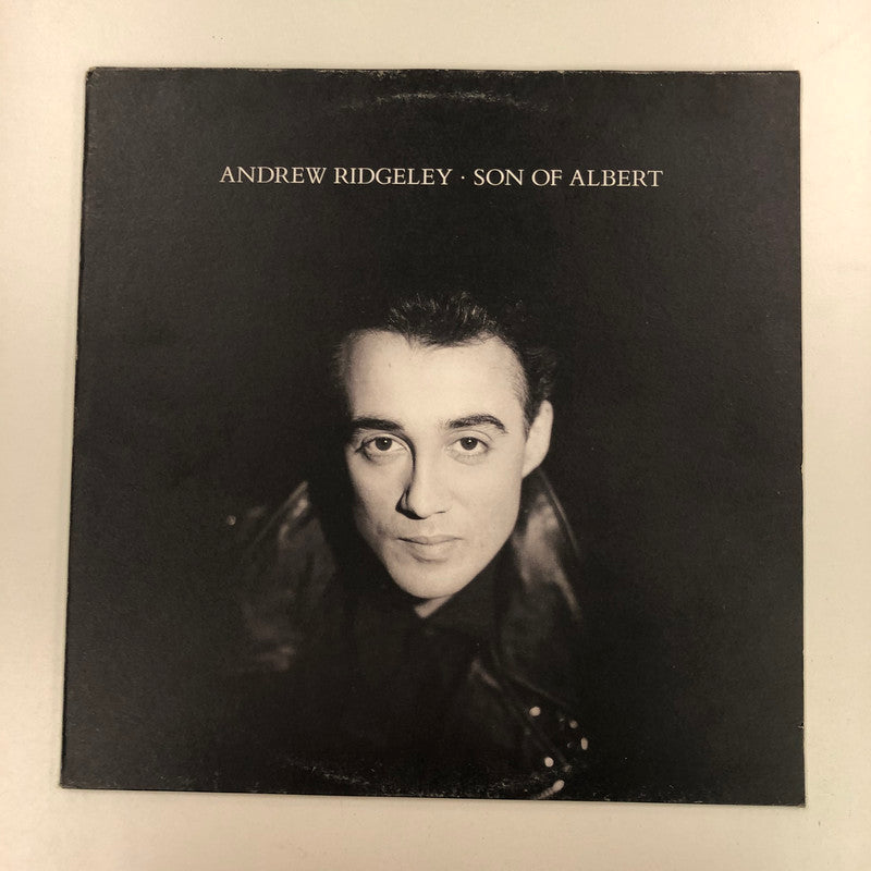 Andrew Ridgeley - Son Of Albert (LP, Album)