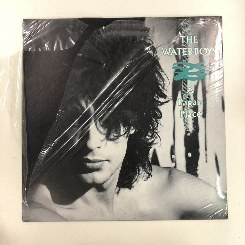 The Waterboys - A Pagan Place (LP, Album)