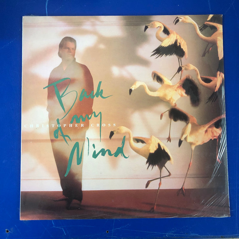 Christopher Cross - Back Of My Mind (LP, Album)
