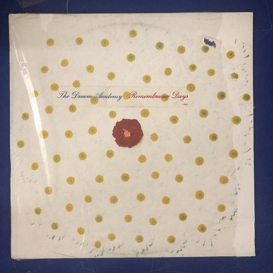 The Dream Academy - Remembrance Days (LP, Album)