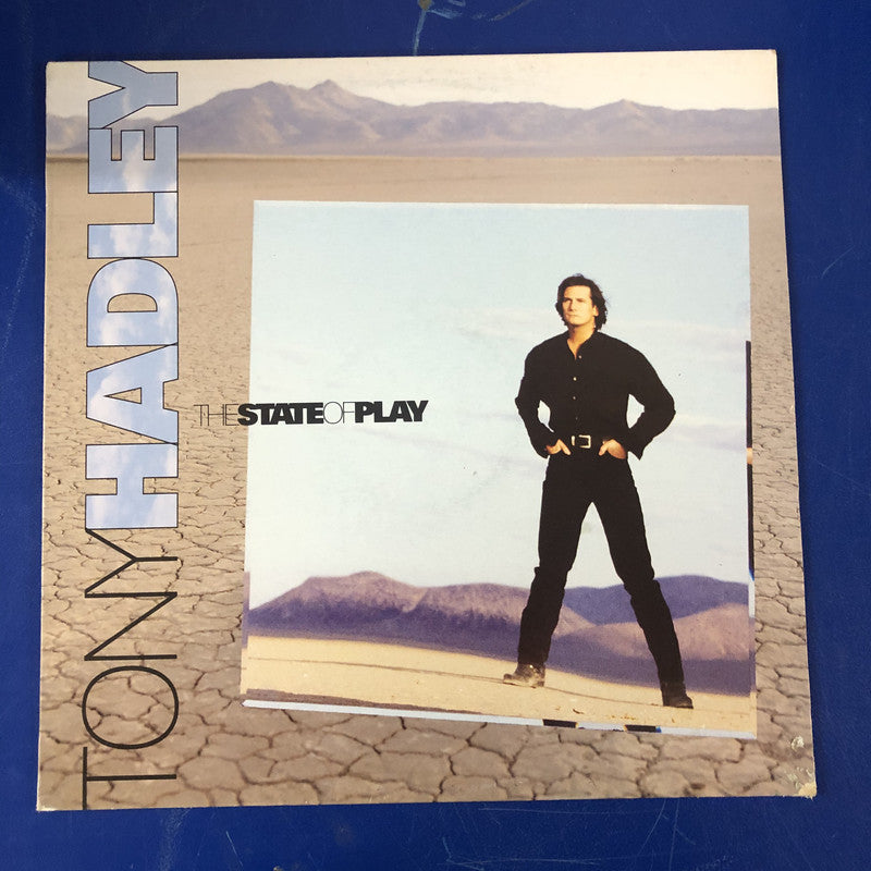 Tony Hadley - The State Of Play (LP, Album)
