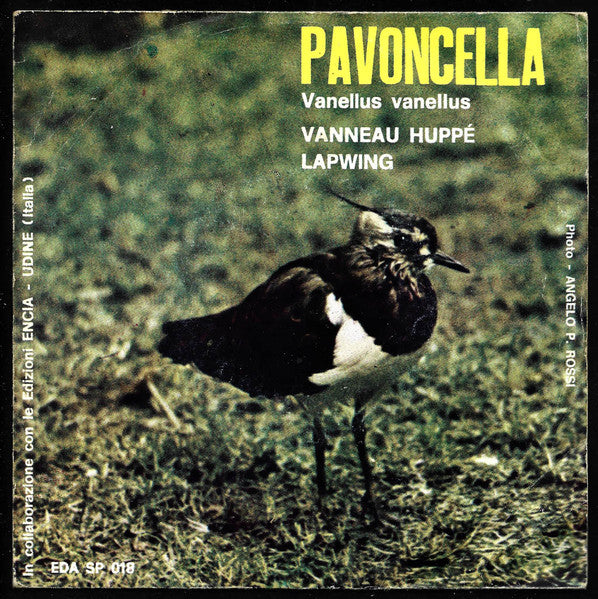 No Artist - Pavoncella (Vanellus vanellus) (7")