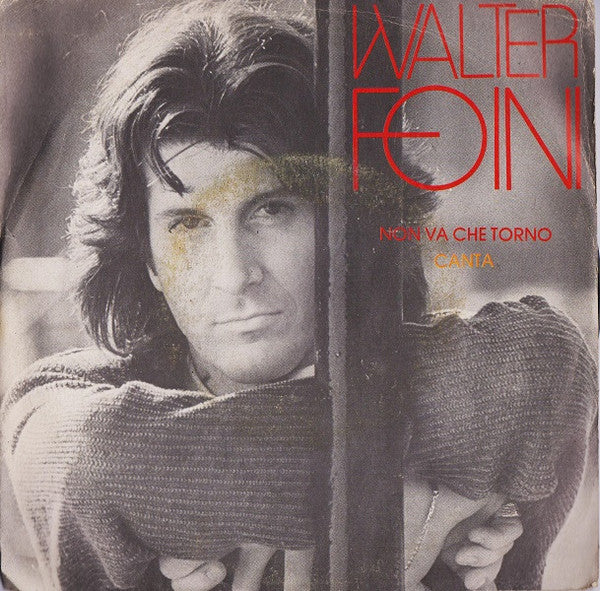 Walter Foini - Non Va Che Torno / Canta (7")