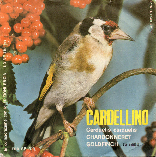 No Artist - Carduellis Carduellis (7", Single)