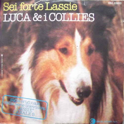 Luca & I Collies - Sei Forte Lassie (7")