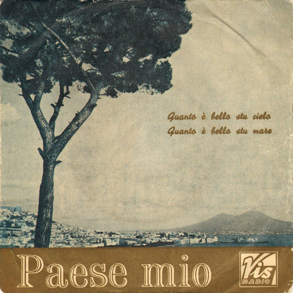 Gloria Christian Con Gino Conte E La Sua Orchestra - Paese Mio (7")