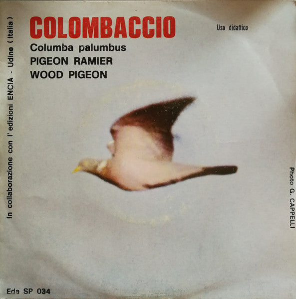 No Artist - Colombaccio (Columba Palumbus) (7")