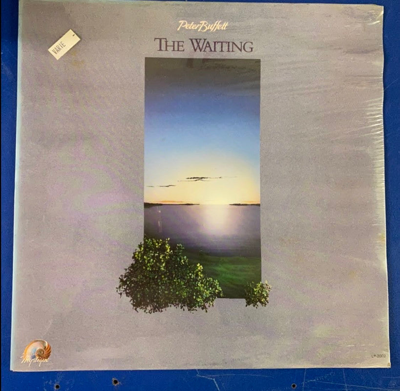 Peter Buffett - The Waiting (LP, Album)
