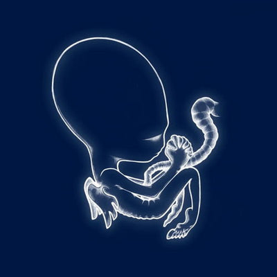Sigur Ros - Agaetis Byrjun (2LP, 180gr)