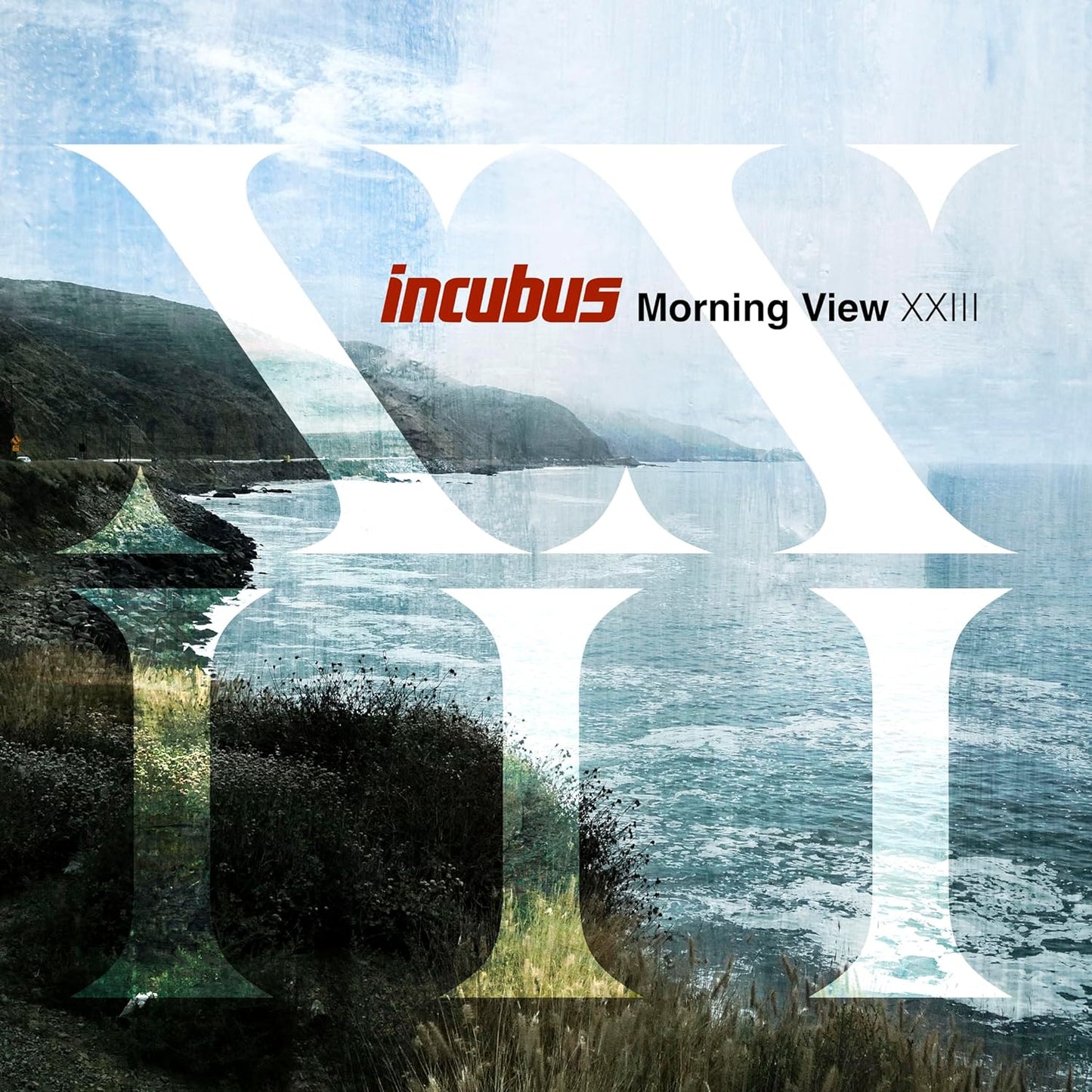 Incubus - Morning View XXIII (2LP, 180gr)