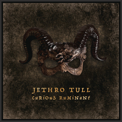 Jethro Tull - Curious Ruminant (180gr)