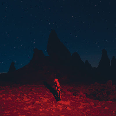 Phoebe Bridgers - Punisher (180gr)