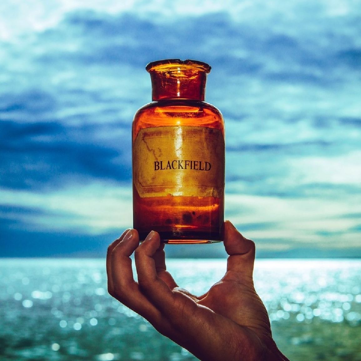 Blackfield - V (180gr)