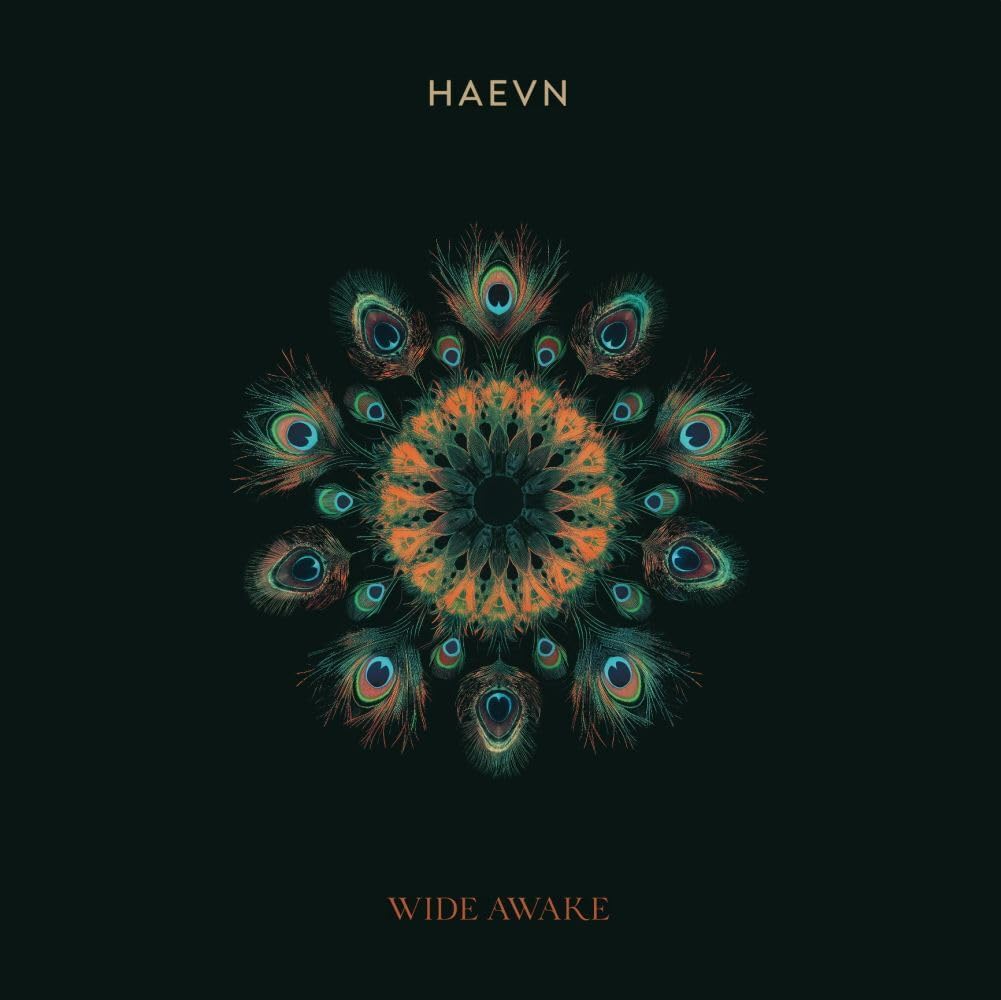 Heavn - Wide Awake (180gr)