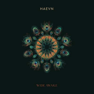 Heavn - Wide Awake (180gr)
