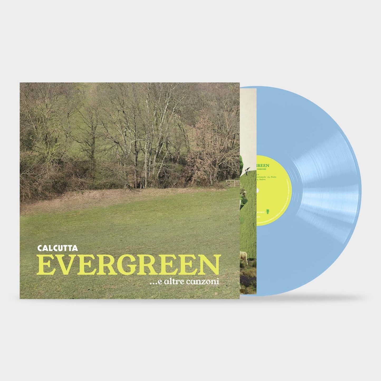 Calcutta - Evergreen... E Altre Canzoni (Baby Blue, 180gr)