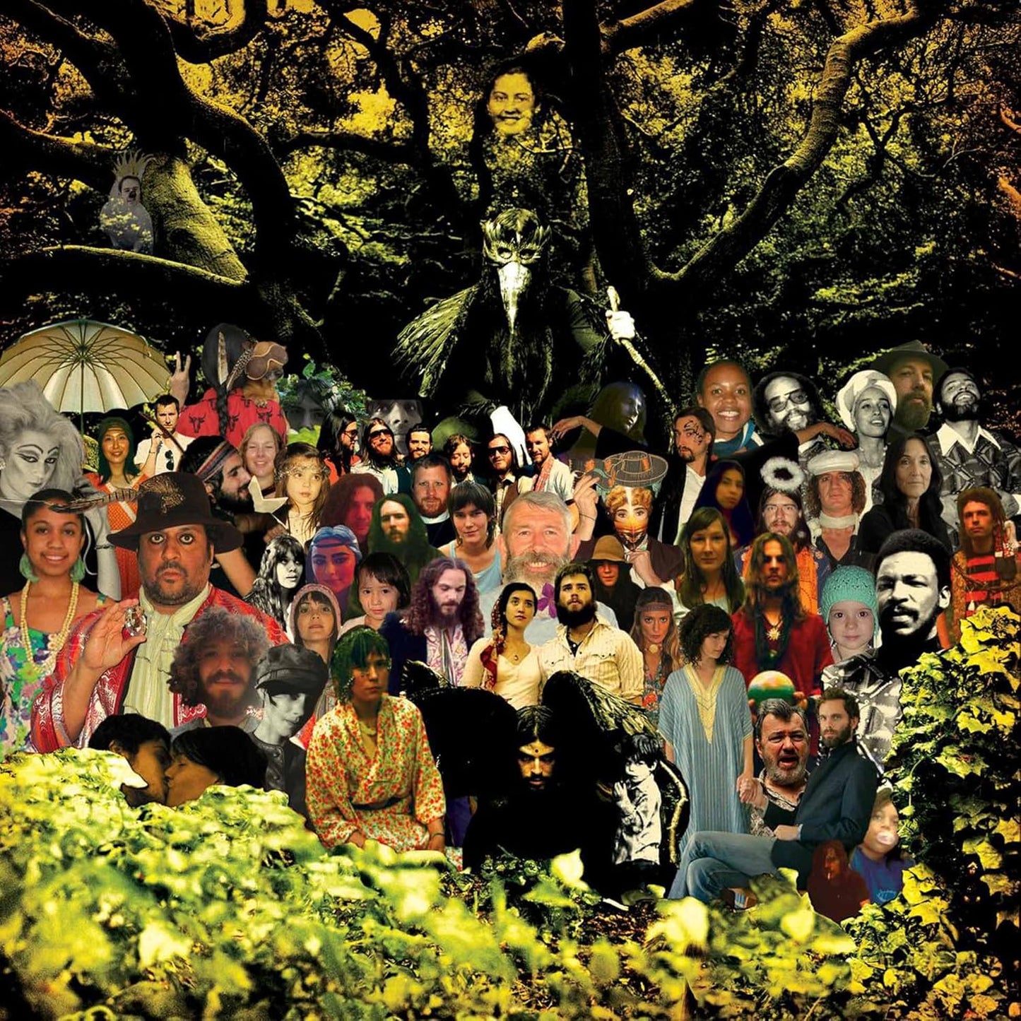 Devendra Banhart - Cripple Crow (2LP, 180gr)