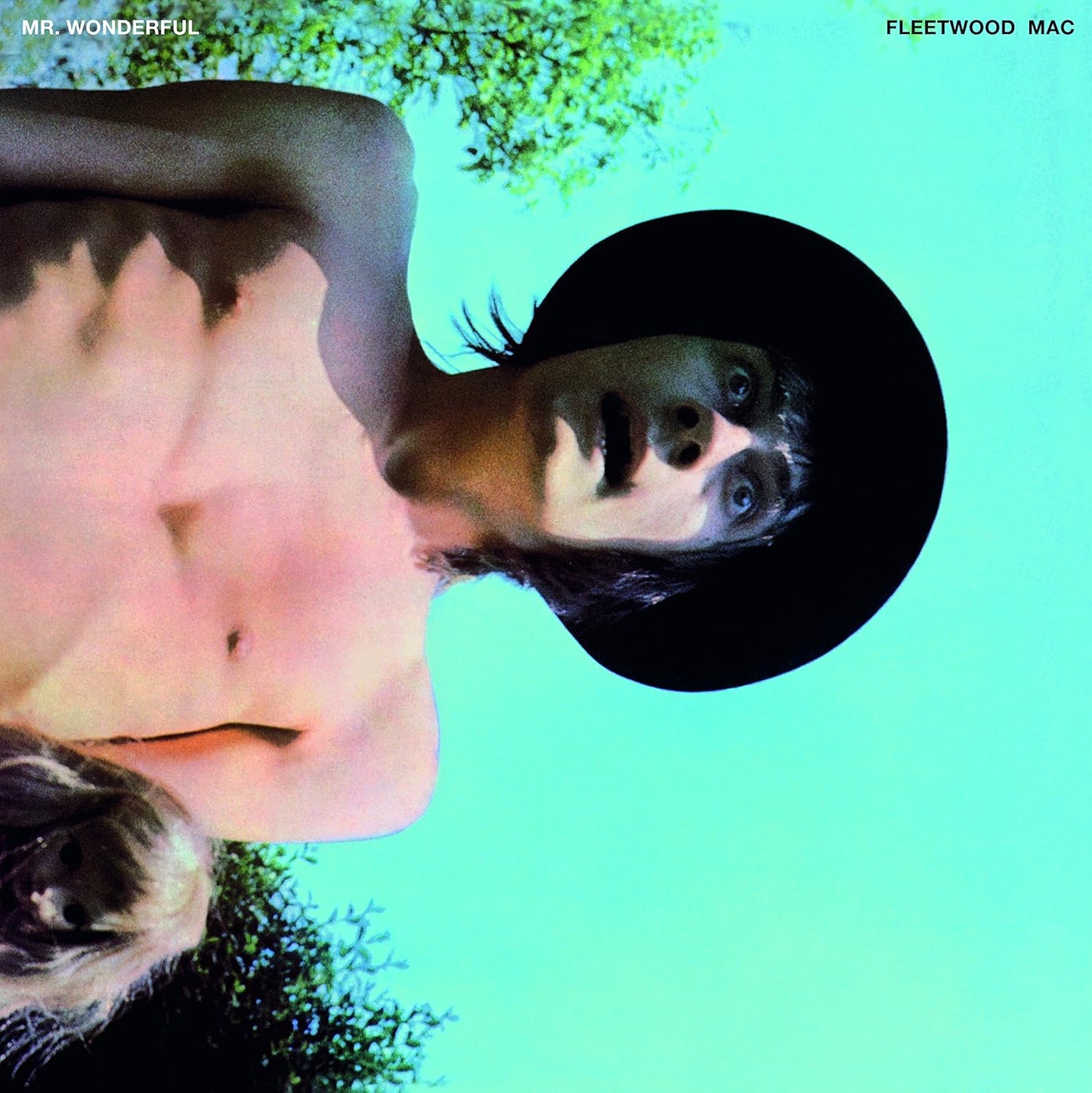 Fleetwood Mac - Mr. Wonderful (180gr)