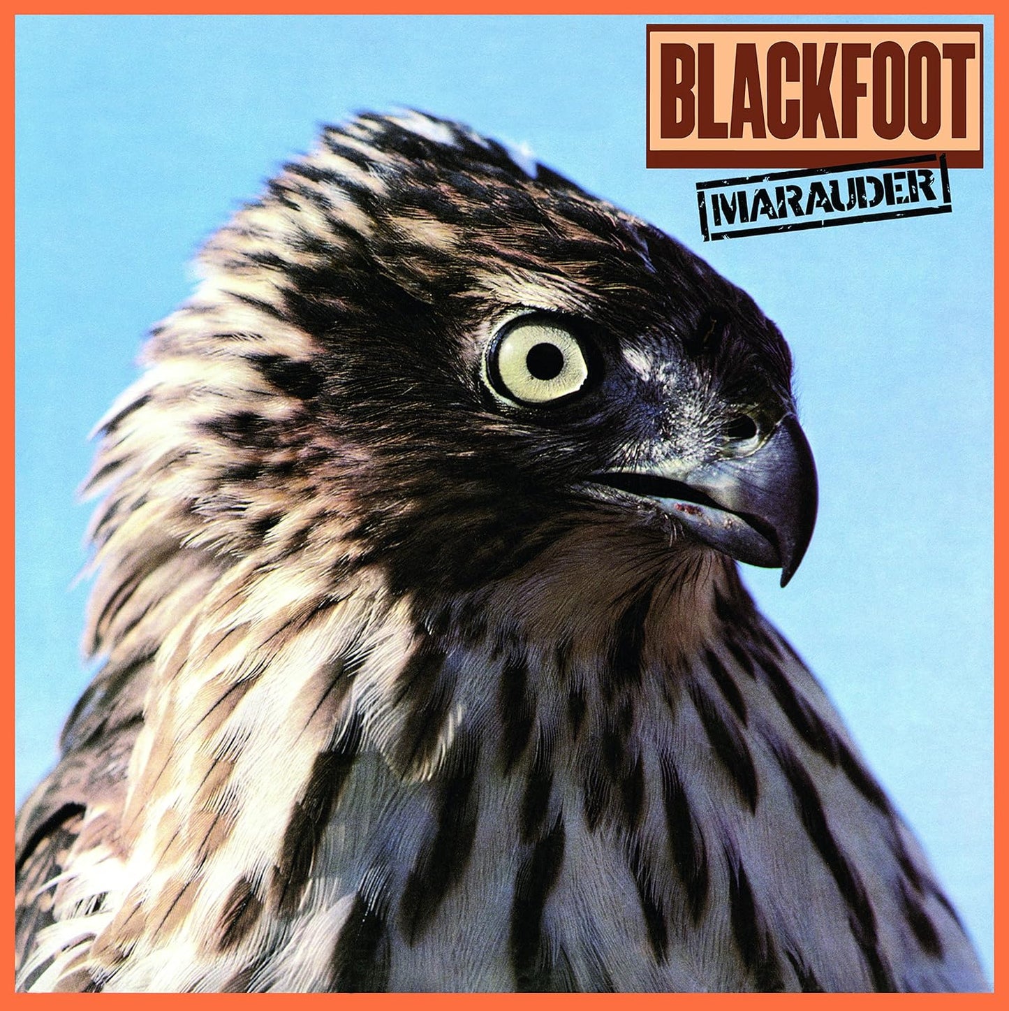 Blackfoot - Marauder (180gr)