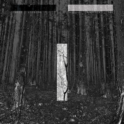 Chris Liebing - Another Day (2LP, 180gr)