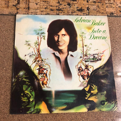 Adrian Baker - Into A Dream (LP, Album)