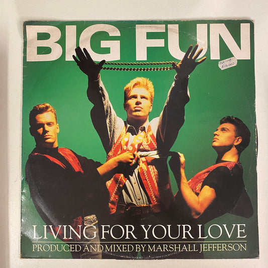 Big Fun - Living For Your Love (12", Single)