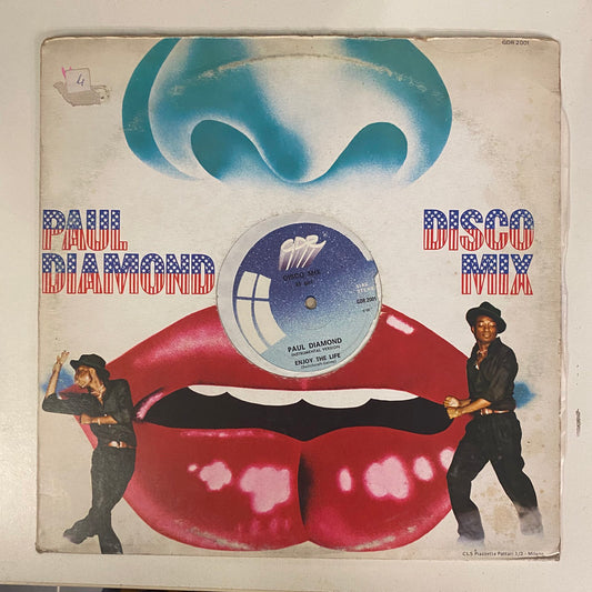 Paul Diamond - Enjoy The Life (12", Blu)