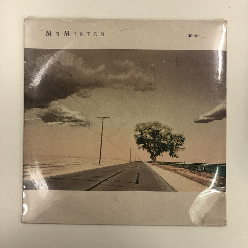 Mr. Mister - Go On ... (LP, Album)