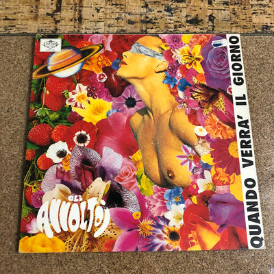 Gli Avvoltoi - Quando Verrà Il Giorno (LP, Album)