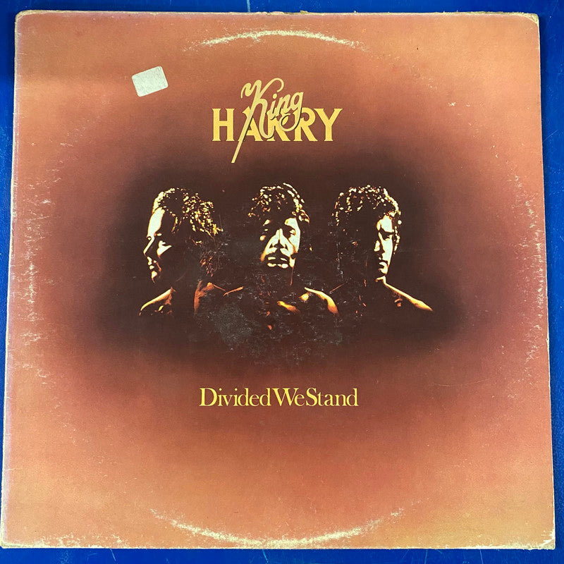 King Harry - Divided We Stand (LP, Album)