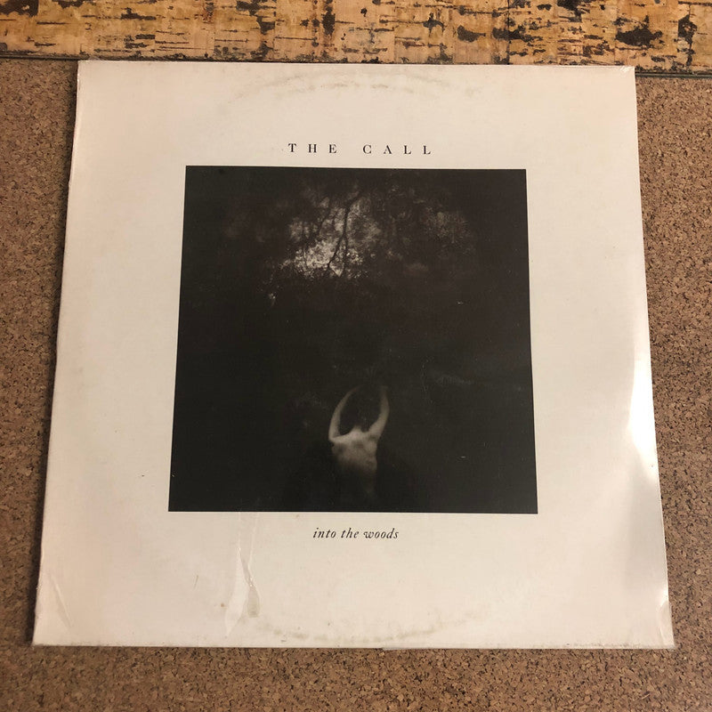 The Call - Into The Woods (LP, Album)