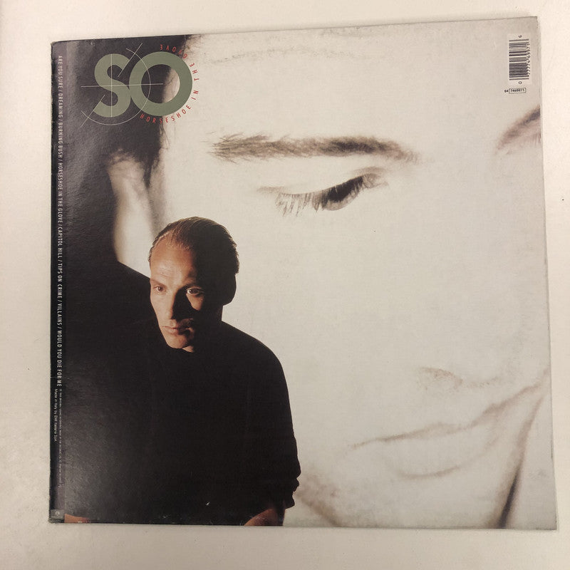 So - Horseshoe In The Glove (LP, Album)