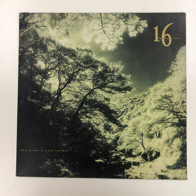 16 Tambourines - How Green Is Your Valley ? (LP, Album)