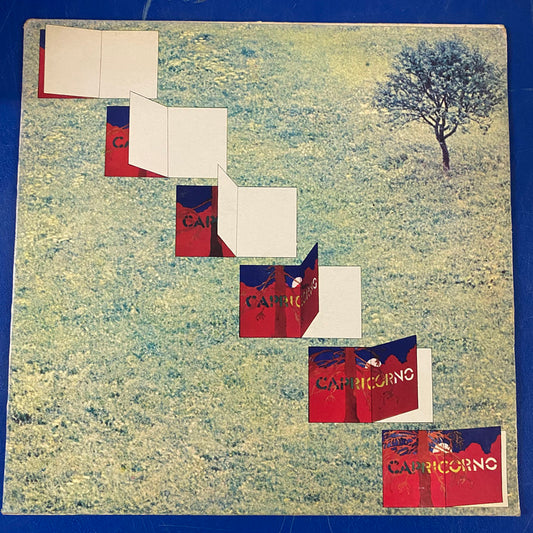 Capricorno - Capricorno (LP, Album)