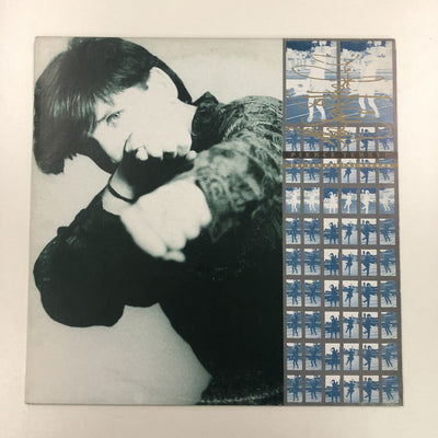 Pierce Turner - The Sky And The Ground (LP, Album)