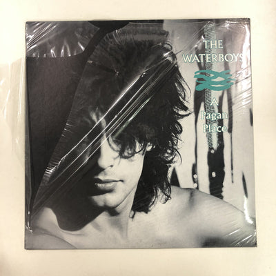 The Waterboys - A Pagan Place (LP, Album)
