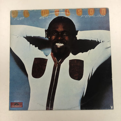 Al Wilson - I've Got A Feeling (LP, Album)