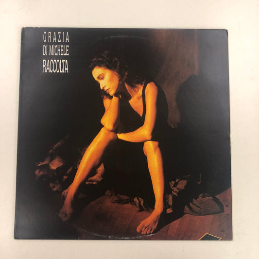 Grazia Di Michele - Raccolta (LP)