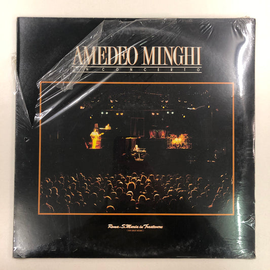 Amedeo Minghi - In Concerto (LP, Album)