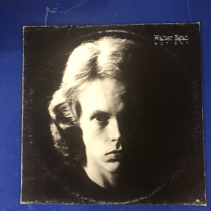 Walter Egan - Not Shy (LP, Album)