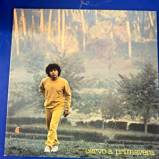 Riccardo Cocciante - Cervo A Primavera (LP, Album, Gat)