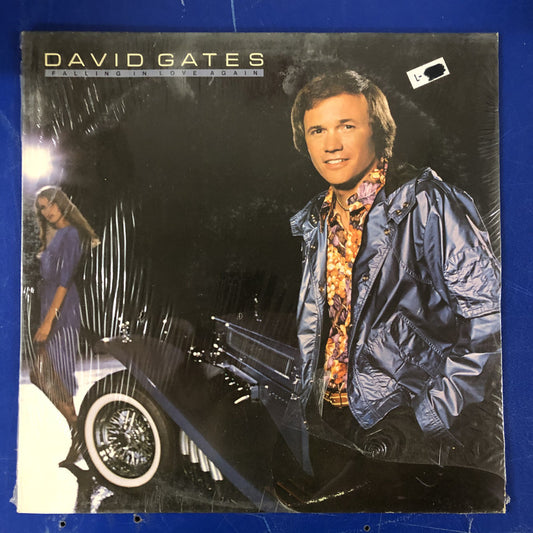 David Gates - Falling In Love Again (LP, Album, AR )