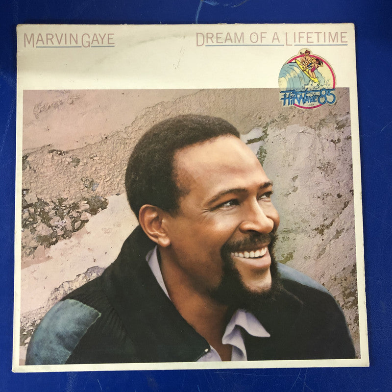 Marvin Gaye - Dream Of A Lifetime (LP, Album)