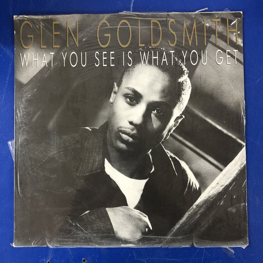 Glen Goldsmith - What You See Is What You Get (LP, Album)
