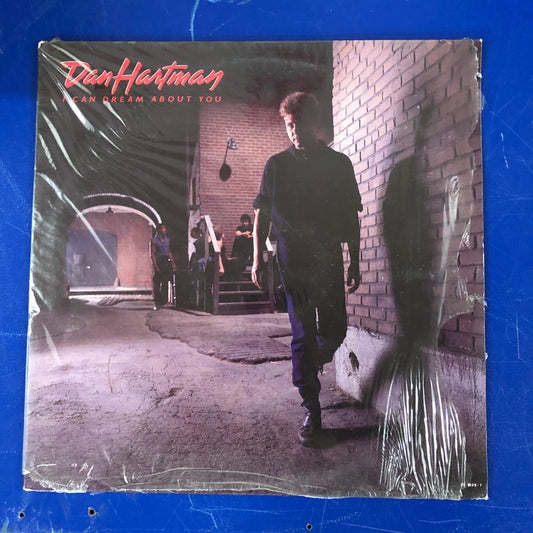 Dan Hartman - I Can Dream About You (LP, Album)
