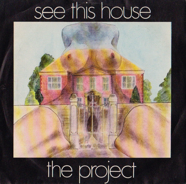 See This House - The Project (7")